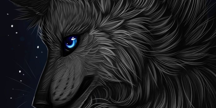 1332x850 Wallpaper profile, myarukawolf, by myarukawolf, black wolf images for  desktop, section арт - download
