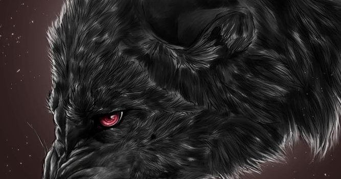 667x1186 Black Wolf Wallpaper - iPhone Wallpapers : iPhone Wallpapers