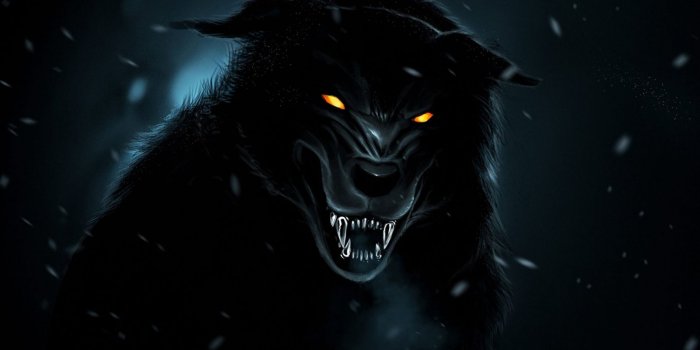 1600x900 Free download Black Wolf Wallpapers Hd [1920x1080] for your Desktop, Mobile  & Tablet | Explore 70+ Black Wolf Wallpaper | Wolf Wallpaper Hd, Wolf  Wallpaper Desktop, Cool Black Wolf Wallpaper