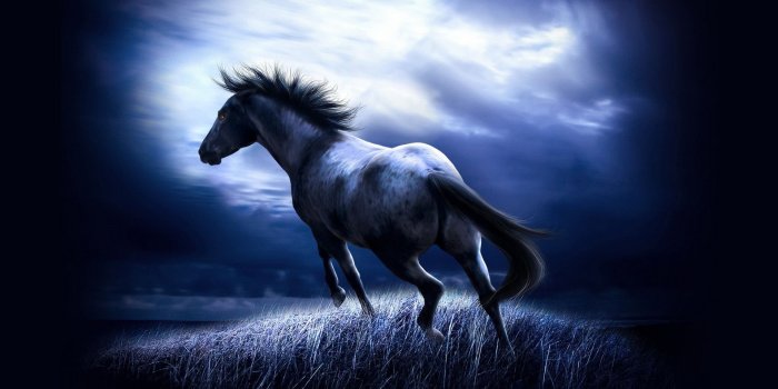 1920x1200 Cool Horse Wallpapers - Top Free Cool Horse Backgrounds - WallpaperAccess