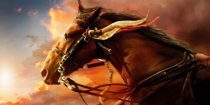 2560x1600 War Horse Wallpapers | HD Wallpapers | ID #14678