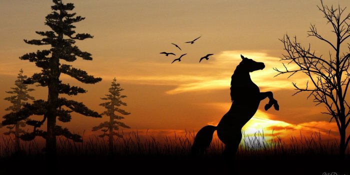 1920x1080 Horse Wallpapers | Best Wallpapers