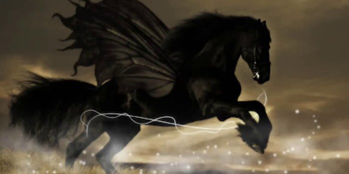 1280x720 Beautiful Black Horse Wallpaper Images
