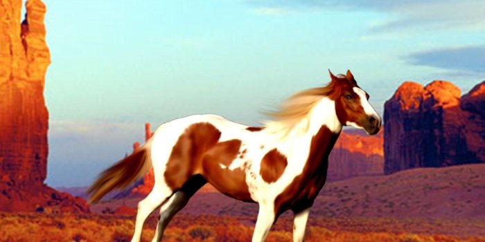 1920x1200 Wallpapers For U003e Paint Horse Wallpaper W Src - Paint Horse Backgrounds  - 1920x1200 - Download HD Wallpaper - WallpaperTip