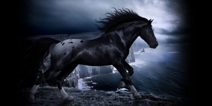 1600x900 Black Spotted Horse | Horse wallpaper, Horses, Fantasy horses
