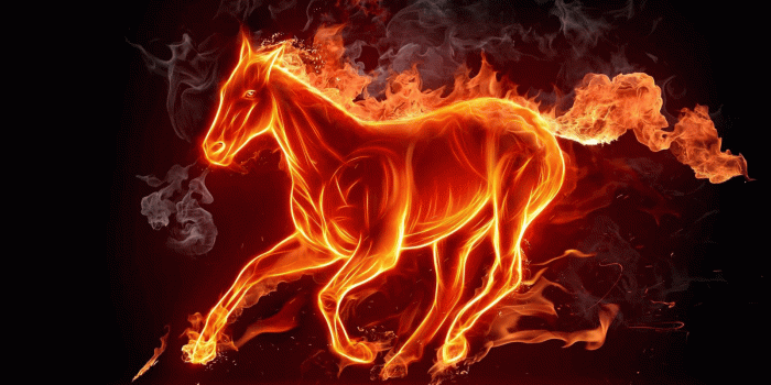 1600x900 Fire Horse Wallpapers HD