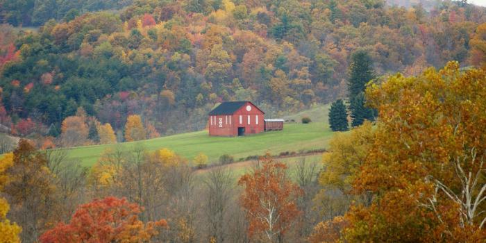 1920x1080 Autumn harvest Ohio wallpaper | 1920x1080 | 193316 | WallpaperUP