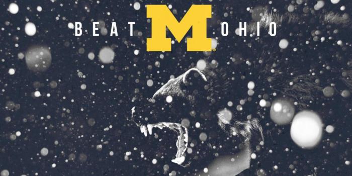 1024x1024 Beat Ohio Wallpapers *repost* | mgoblog