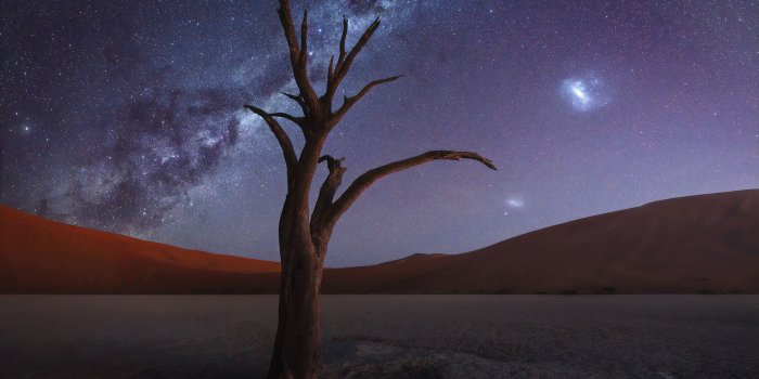 3840x2560 Tree Desert Milky Way 4k, HD Nature, 4k Wallpapers, Images, Backgrounds,  Photos and Pictures
