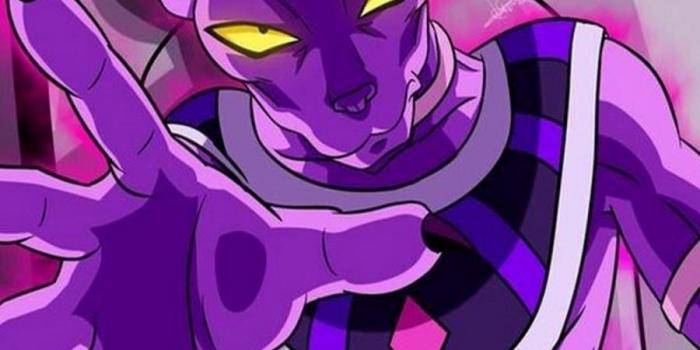 900x1440 Lord Beerus Wallpaper Art for Android - APK Download