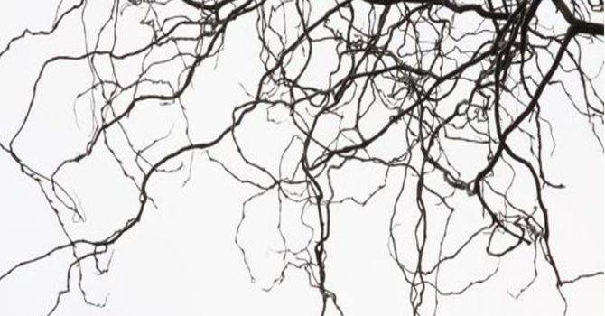 670x1192 Saint Laurent Wallpapers