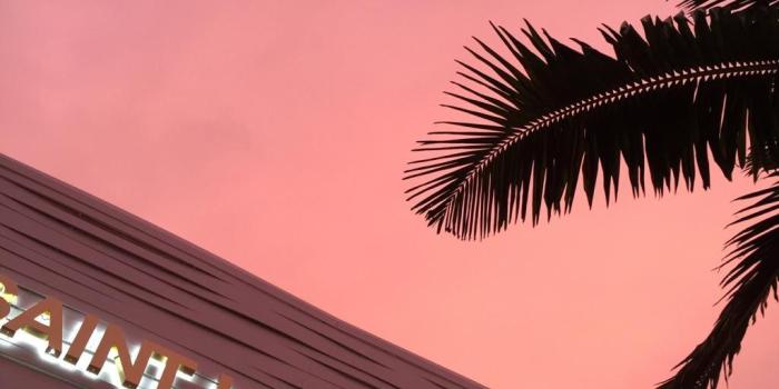 1024x1280 Ysl Wallpaper Pink