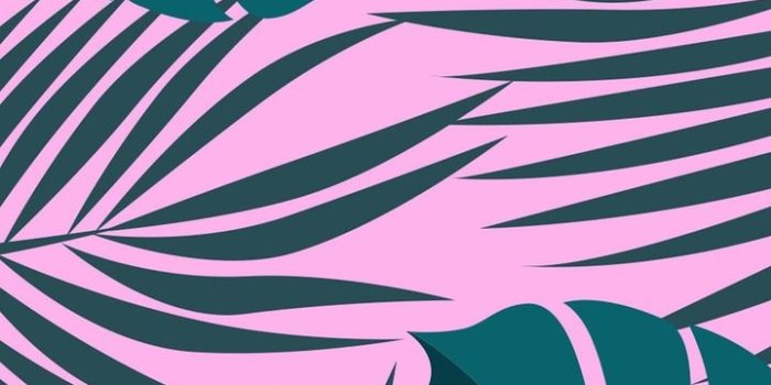 720x1280 victoria secret, pink and wallpapers - image #7671790 on Favim.com