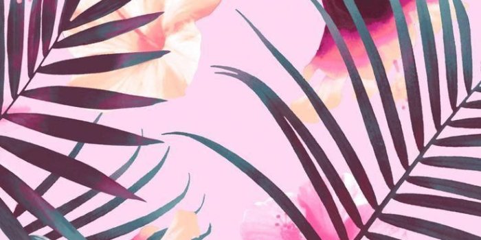 736x1308 Victoria's Secret PINK Wallpaper #pinknation 2017  #pinkflowerwallpaperiphone | Pink wallpaper iphone, Victoria secret pink  wallpaper, Wallpaper iphone summer
