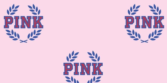 1080x1920 Wallpaper Victoria Secret (54+ pictures)