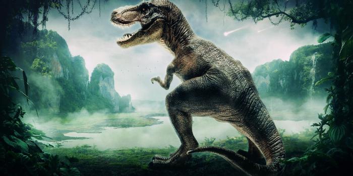 2560x1440 Dinosaur Wallpapers - Top Free Dinosaur Backgrounds - WallpaperAccess