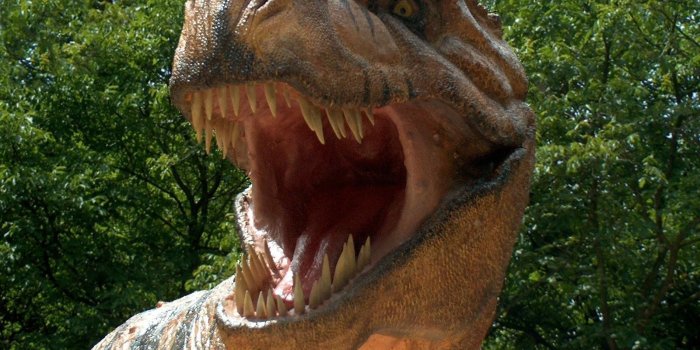 1600x1206 219 Dinosaur HD Wallpapers | Background Images