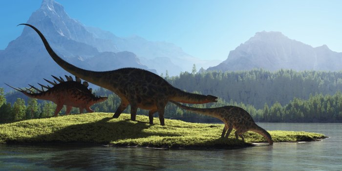 1920x1174 Dinosaur Wallpaper HD