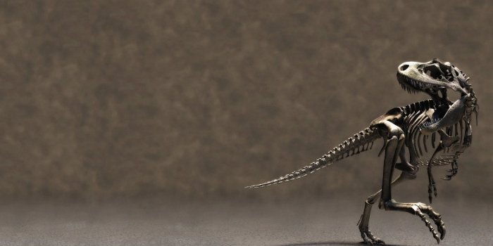 1920x1080 Dinosaur wallpapers 1920x1080 Full HD (1080p) desktop backgrounds