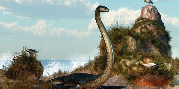 1600x1001 Fresh Beautiful Wallpapers For Desktop Dinosaur Wall #8594