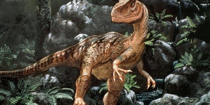 1024x768 Dinosaur Computer Wallpapers, Desktop Backgrounds Desktop Background