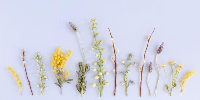 3787x2525 Aesthetic Desktop Wallpaper Summer - 3787x2525 Wallpaper - teahub.io