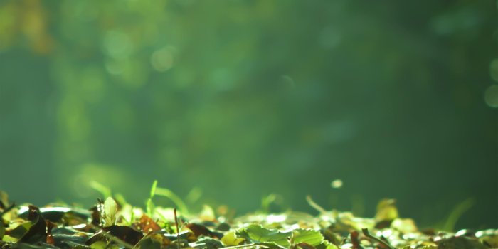 2560x1600 Ground Wallpapers