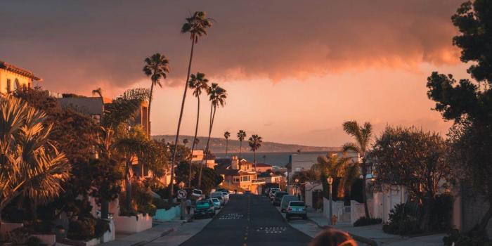 1125x2436 Iphone X Wallpaper Vibe