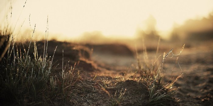 1920x1200 Beautiful Ground Wallpaper #6775290