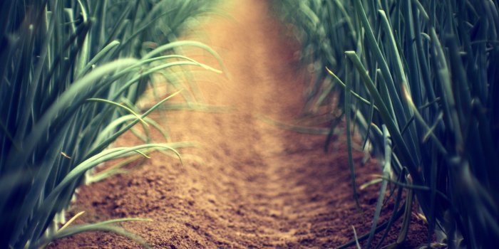 1920x1200 Lovely Ground Wallpaper #6801535