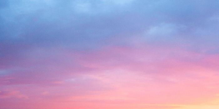 1469x2615 75+ Summer Vibe Wallpaper For Andoid HD for Android - APK Download