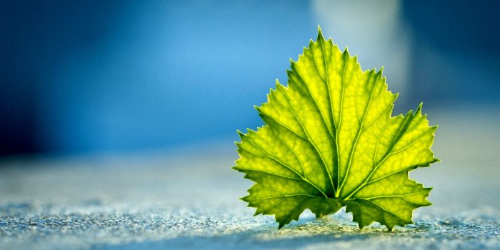 1920x1080 Ground Wallpaper HD #6892464