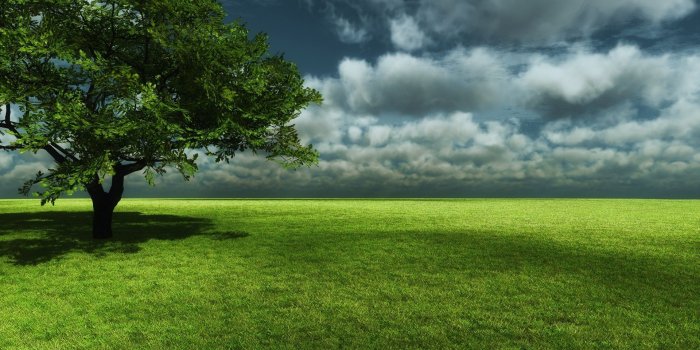 1920x1080 Best 52+ Grounded Wallpaper on HipWallpaper | Grounded Wallpaper, Grounded  for Life Wallpaper and