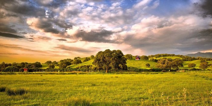 1920x1080 Old Olive Trees And The Ground Wallpaper - Ground Pic Hd - 1920x1080  Wallpaper - teahub.io