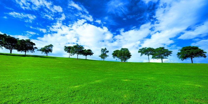 1920x1200 Green Ground Wallpaper Hd - 1920x1200 Wallpaper - teahub.io