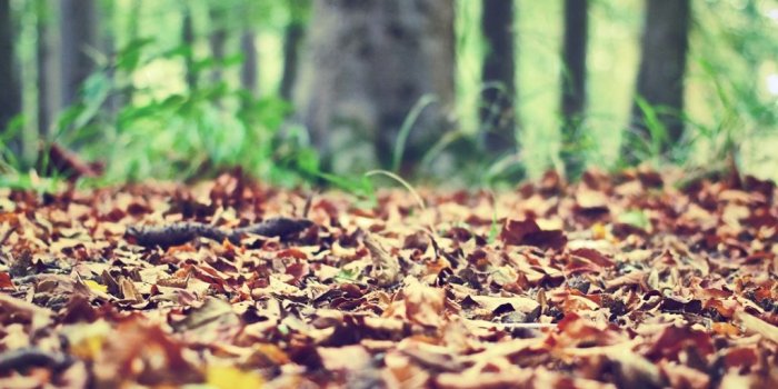 1024x1024 Best ground iPad Wallpapers HD - iLikeWallpaper