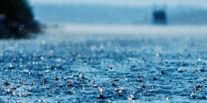 750x1334 Raindrops hitting ground wallpaper | Nature wallpaper, Rain wallpapers,  Phone wallpaper
