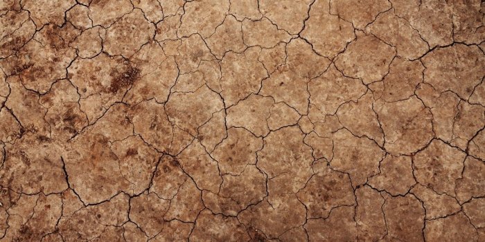 1280x853 Ground Wallpapers posted by Michelle Anderson