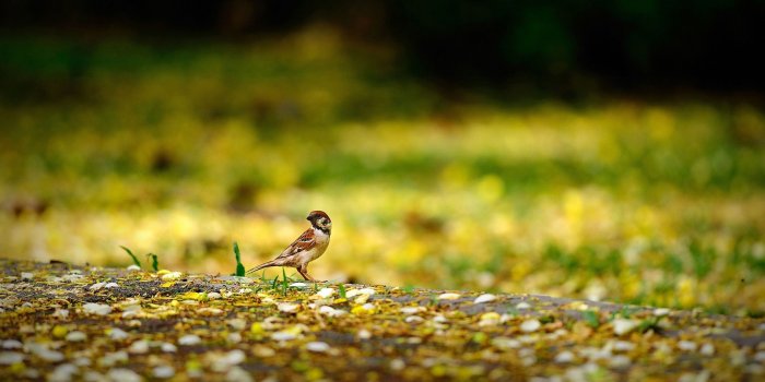 2560x1440 Ground Wallpaper posted by Sarah Simpson