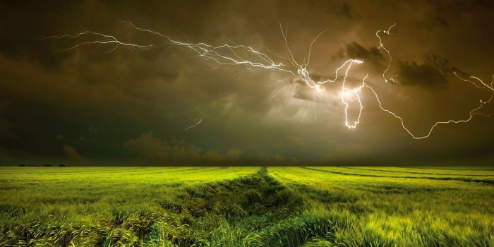 1449x1000 Thunder (#2994555) - HD Wallpaper & Backgrounds Download