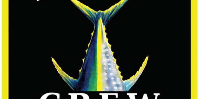 1249x1481 Salty crew Logos