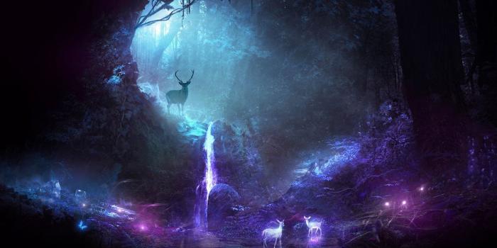 1191x670 Obscure Wallpaper for 100 themes challenge:&nbsp;&nbsp;goo.gl/7Y5BTH  Facebook fan page:&nbsp;www.facebook.com/t1naa … | Lit wallpaper, Wildlife  wallpaper, Wallpaper