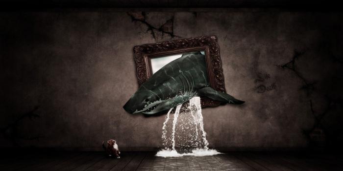 1920x1080 Weird Wallpapers posted by Ryan Peltier