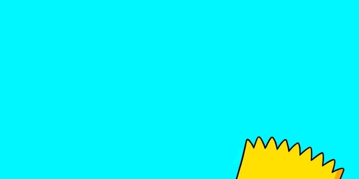 1242x2208 Aesthetic Wallpaper Iphone Bart Simpson Supreme