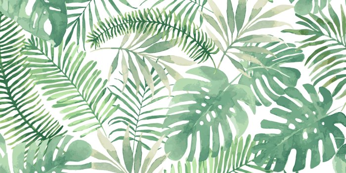 4000x4000 Leaf Wallpapers - Top Free Leaf Backgrounds - WallpaperAccess