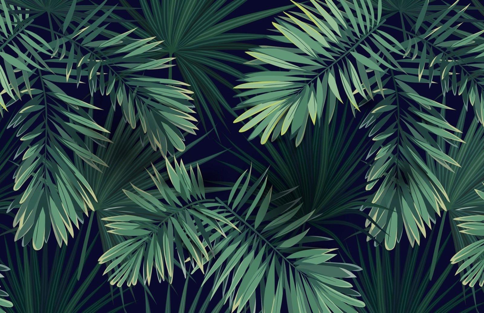1650x1070 Tropical Green Plant Wallpaper Mural | Murals Wallpaper