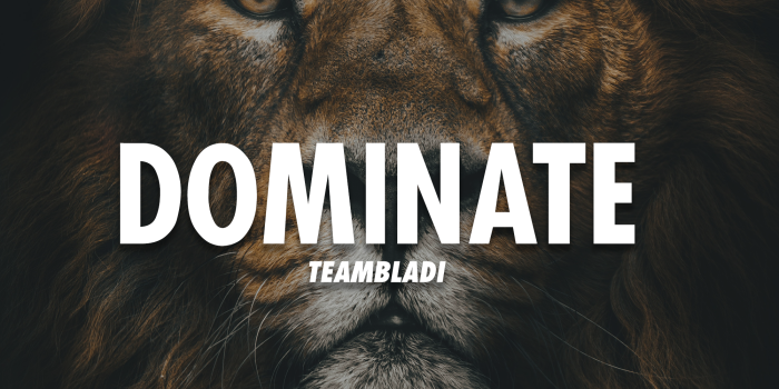 2000x3556 Lion Motivation Wallpaper Hd