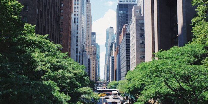 1000x1503 New York City Wallpapers: Free HD Download [500+ HQ] | Unsplash