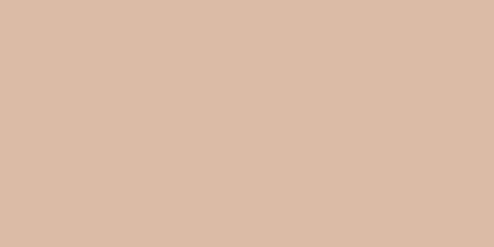 1000x1000 Dusty Peach Wallpaper | Luxe Walls - Removable Wallpapers