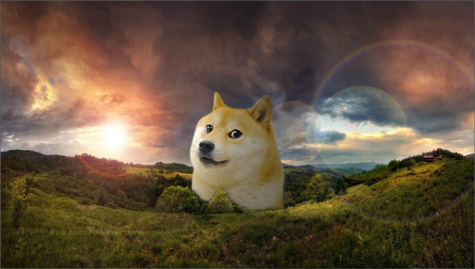 3370x1909 Doge Wallpapers - Top Free Doge Backgrounds - WallpaperAccess